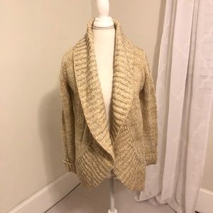 Express Oatmeal Cardigan Sweater